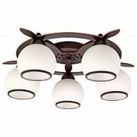 Потолочная люстра Omnilux Fronteira OML-50507-05 фото Потолочная люстра Omnilux Fronteira OML-50507-05