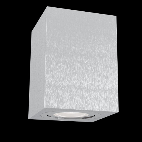 Накладной светильник Maytoni Alfa C017CL-01S фото Накладной светильник Maytoni Alfa C017CL-01S. Фото №2