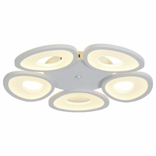 Потолочная люстра ST-Luce SL929 SL929.502.05 фото Потолочная люстра ST-Luce SL929 SL929.502.05. Фото №1