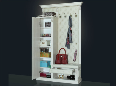 Прихожая Благо 5 Б 5.11-5. Фото №3