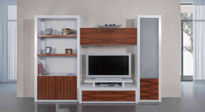 Витрина Life 543. Фото