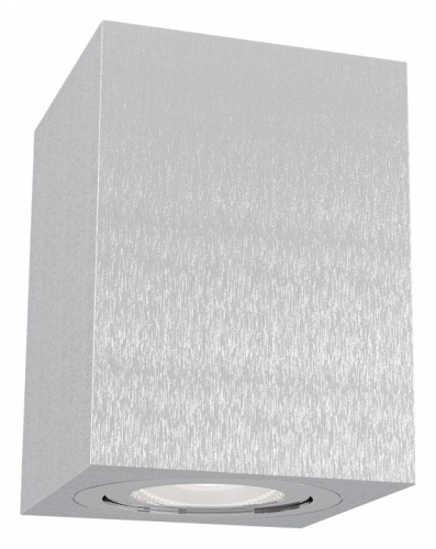 Накладной светильник Maytoni Alfa C017CL-01S фото Накладной светильник Maytoni Alfa C017CL-01S. Фото №1