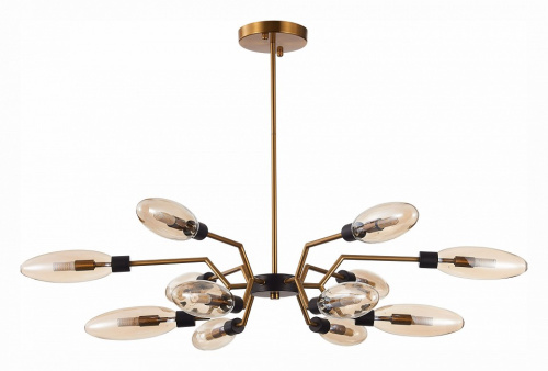 Потолочная люстра ST-Luce Desima SL1174.303.12. Фото №1